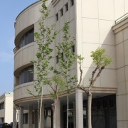 عکس مربوط به نمای بیرونی ساختمان اداری شرکت جابون